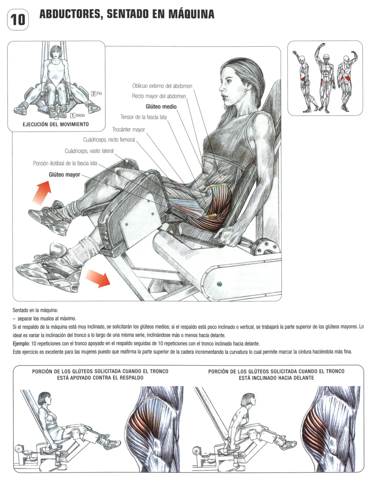 de musculacion