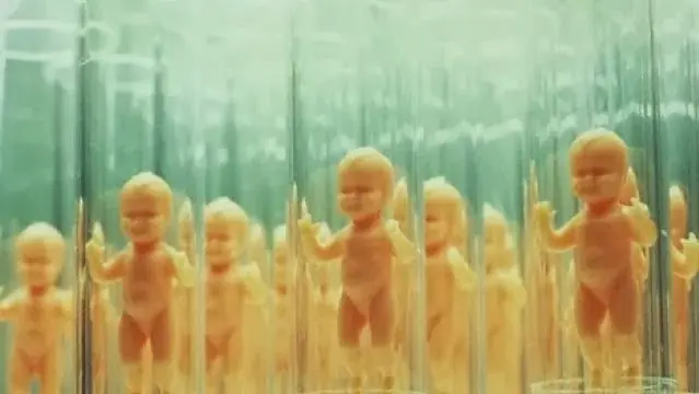 Preguntas que debes hacerte sobr