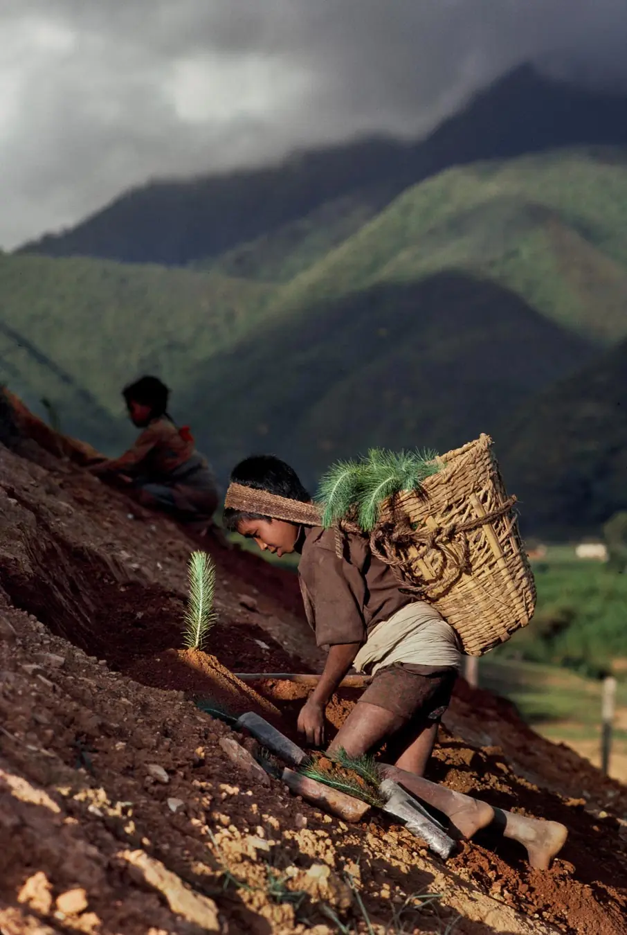 McCurry McCurry