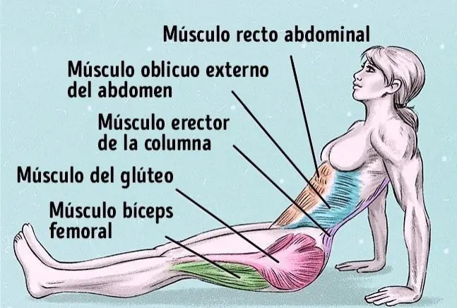 Solo un ejercicio para quemar la grasa y mejorar la postura