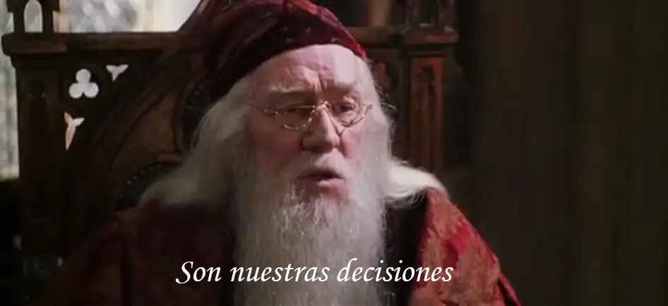 harry potter harry potter