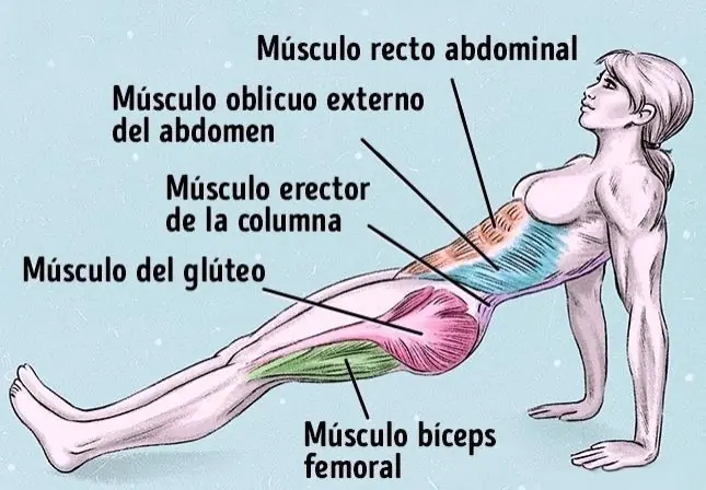 cuerpo cuerpo