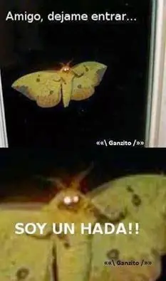 ¿Aburrido? Imágenes/gifs graciosas para no parar de reír ¿Aburrido? Imágenes/gifs graciosas para no parar de reír