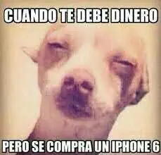 Gracioso humor para sacarte una sonrisa hoy jueves+5 si ries