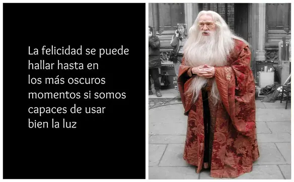 La caida del personaje reconstruido de Dumbledore La caida del personaje reconstruido de Dumbledore