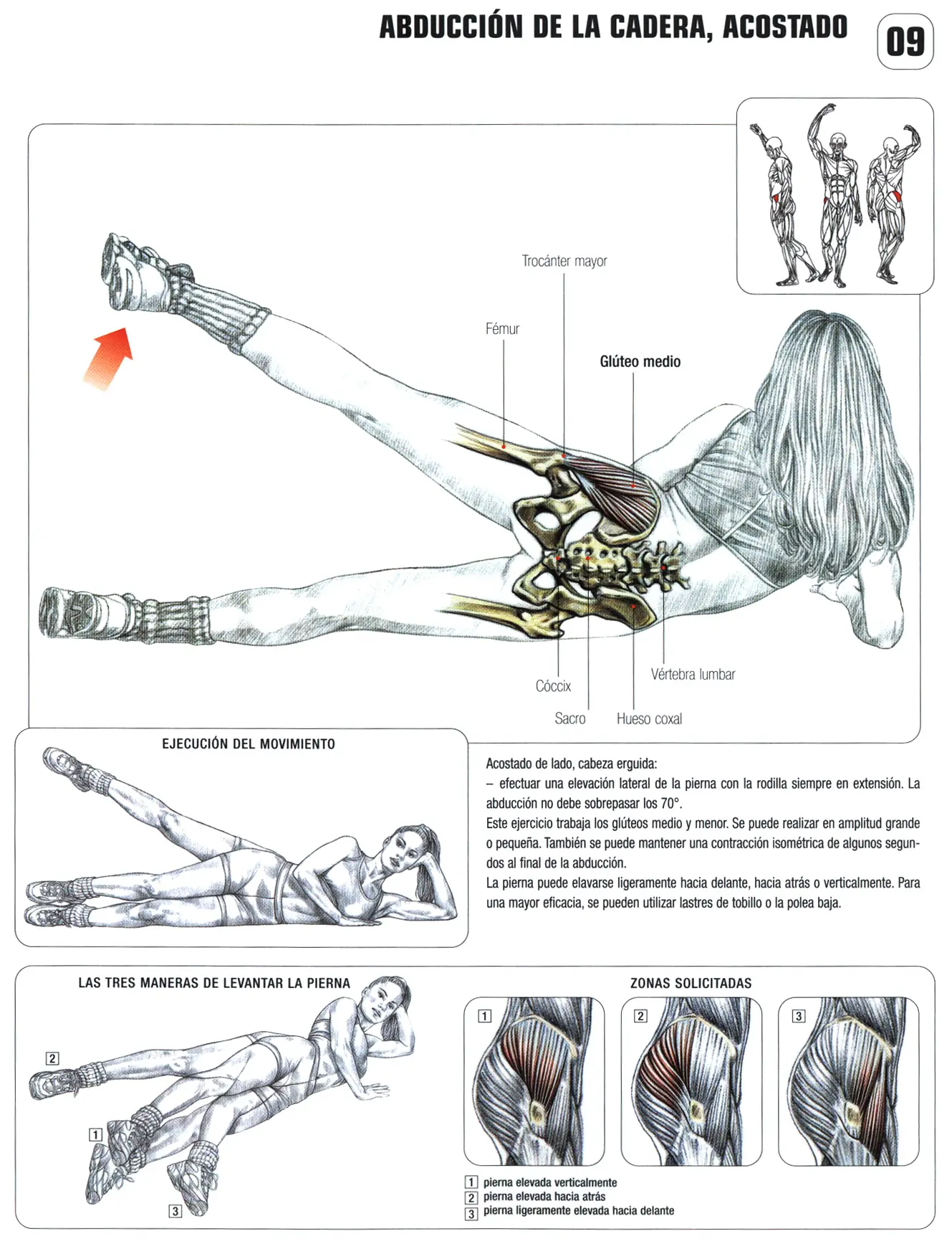 gimnasio