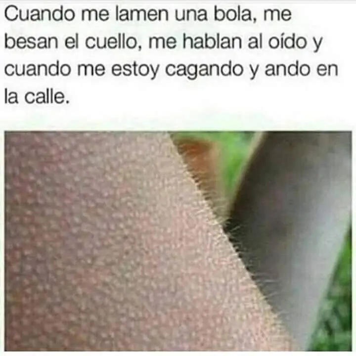 humor taringuero
