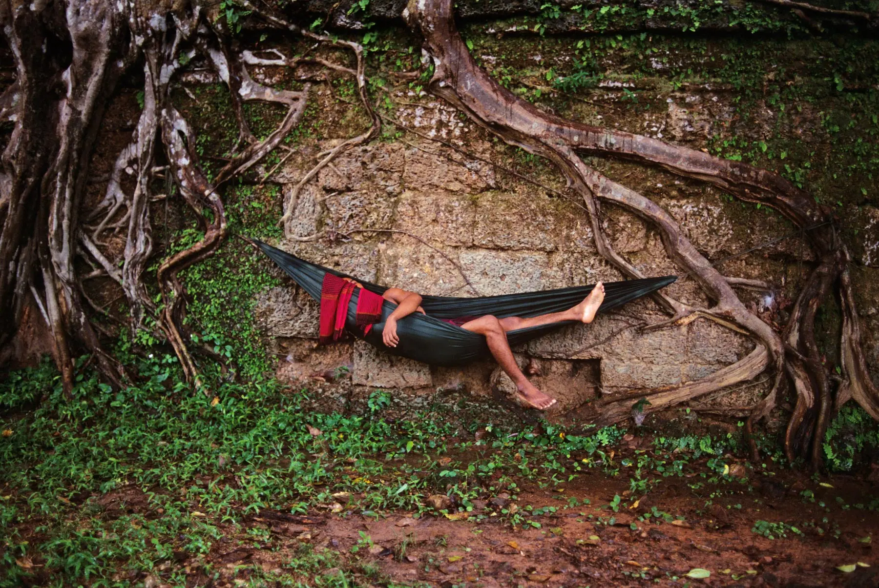 McCurry McCurry