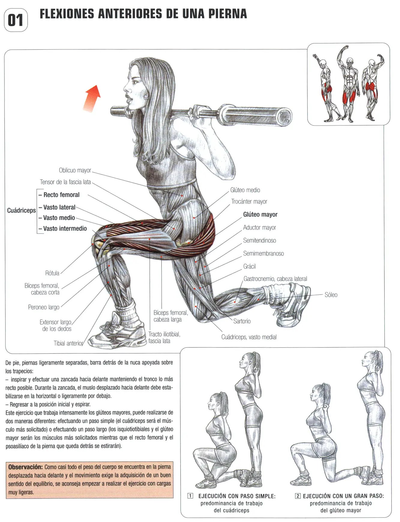 Gluteos y yapa: Guia de los movimientos de musculacion VI