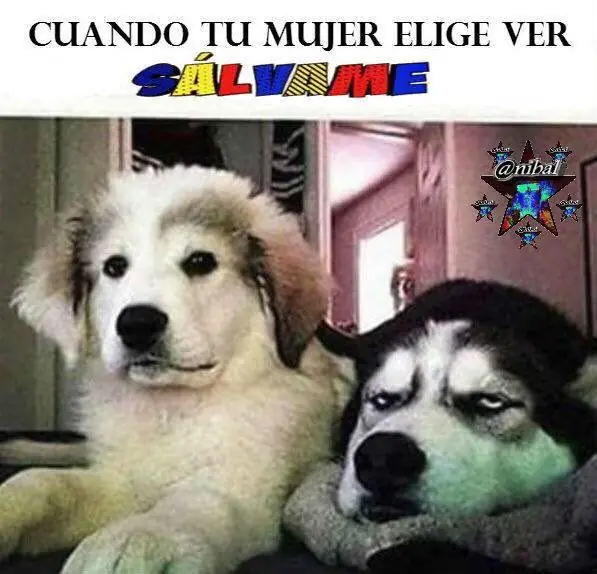 feliz