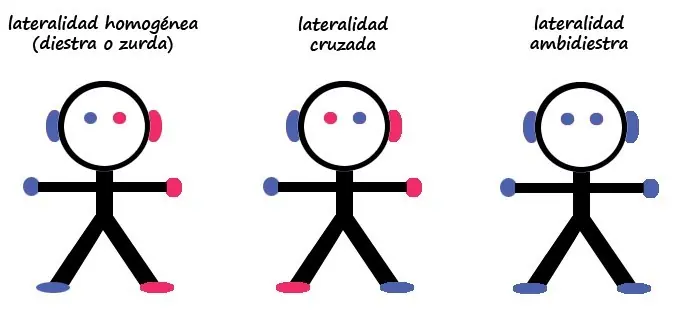 antidiestro antidiestro