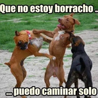 Humor para alegrar tu día miercoles,+5 si te ríes
