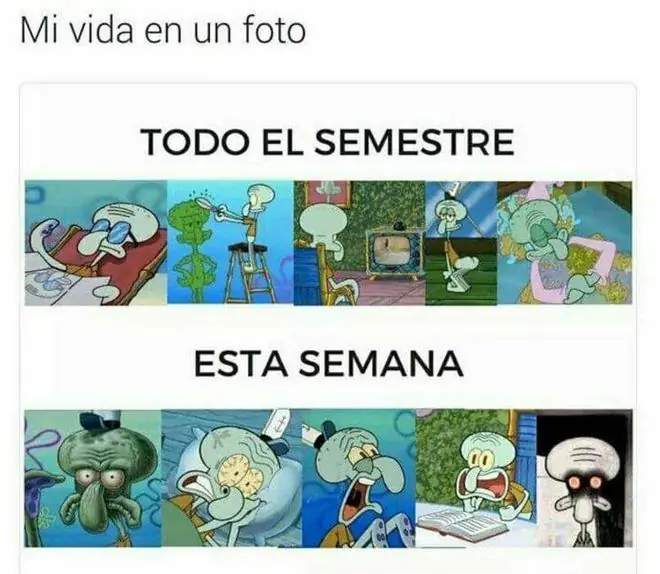 Imagenes de humor para el lince trasnochador