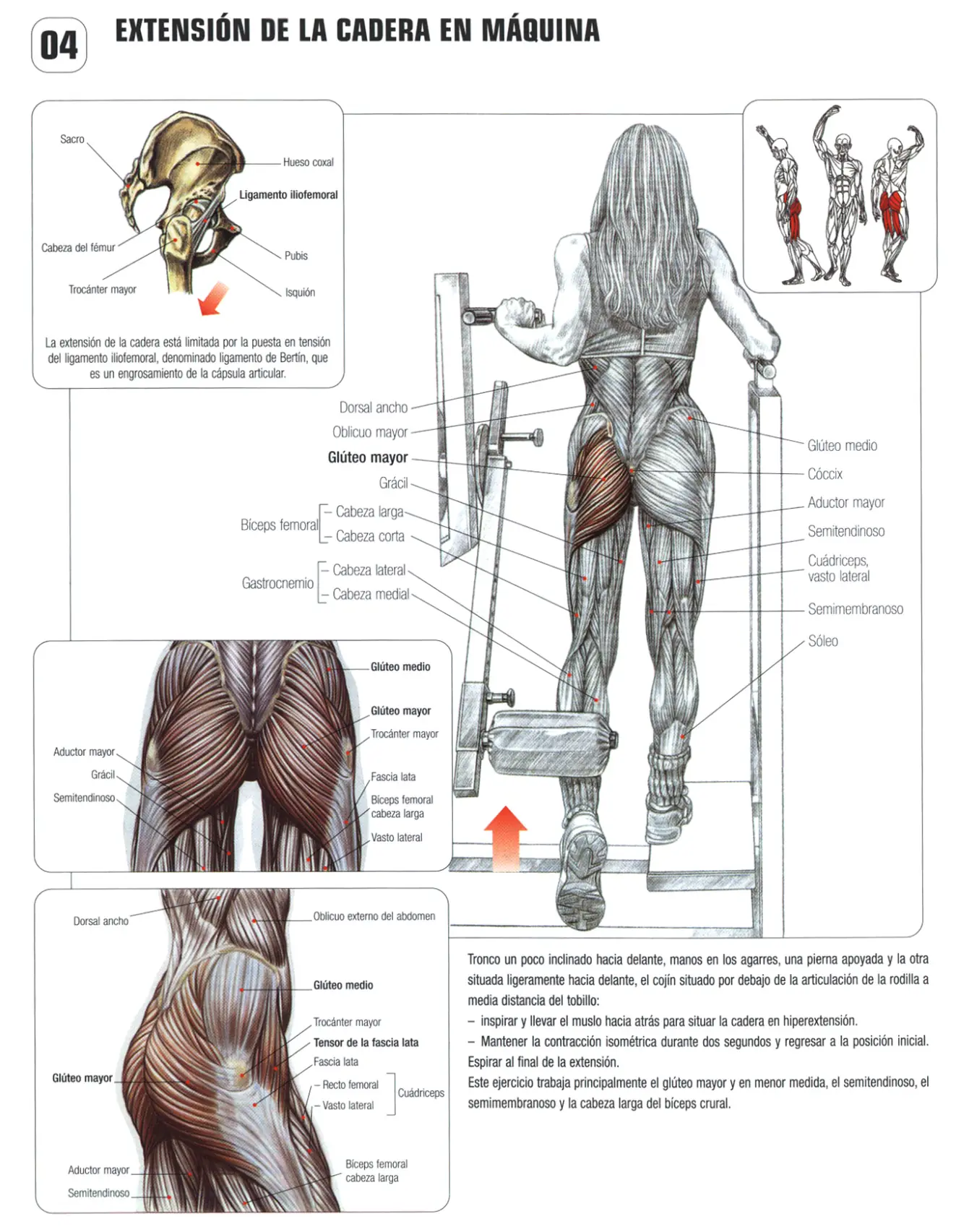 gimnasio