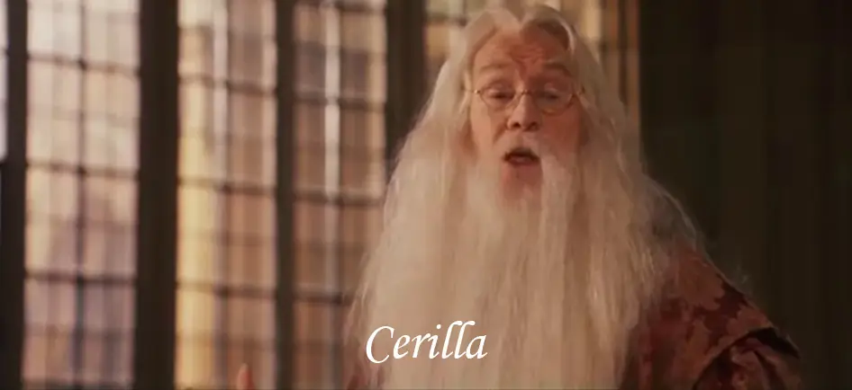 La caida del personaje reconstruido de Dumbledore La caida del personaje reconstruido de Dumbledore