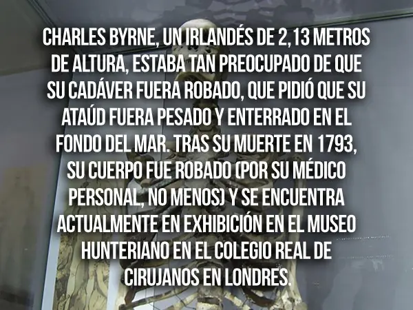 20 datos curiosos que te impresionarán y te harán sudar frío
