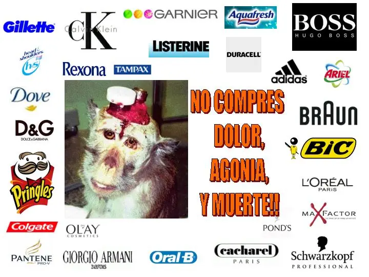Animales