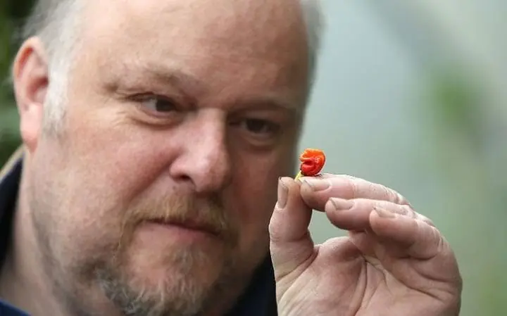 Granjero crea el chile más picante del mundo por accidente