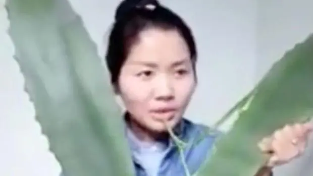 Casi muere x comer 1 planta venenosa pnsando q era Aloe Vera