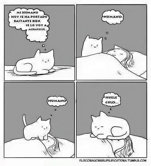 humor en imagenes humor en imagenes