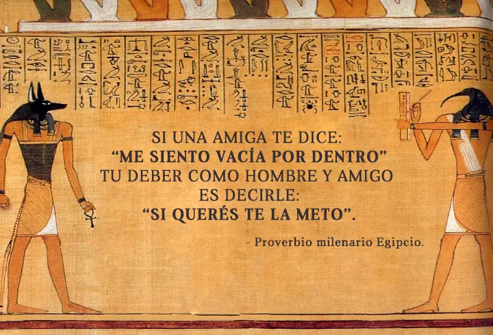 humor grafico humor grafico