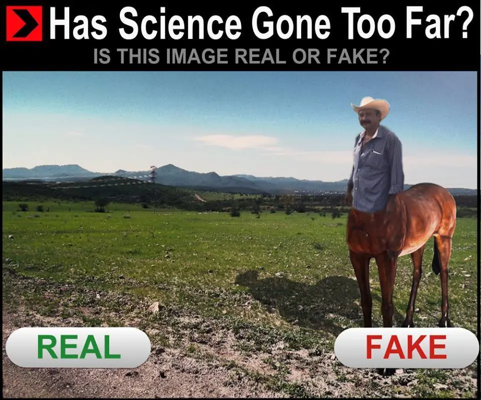 Desvelado? toma imágenes de humor #112