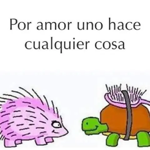 humor viejo humor viejo