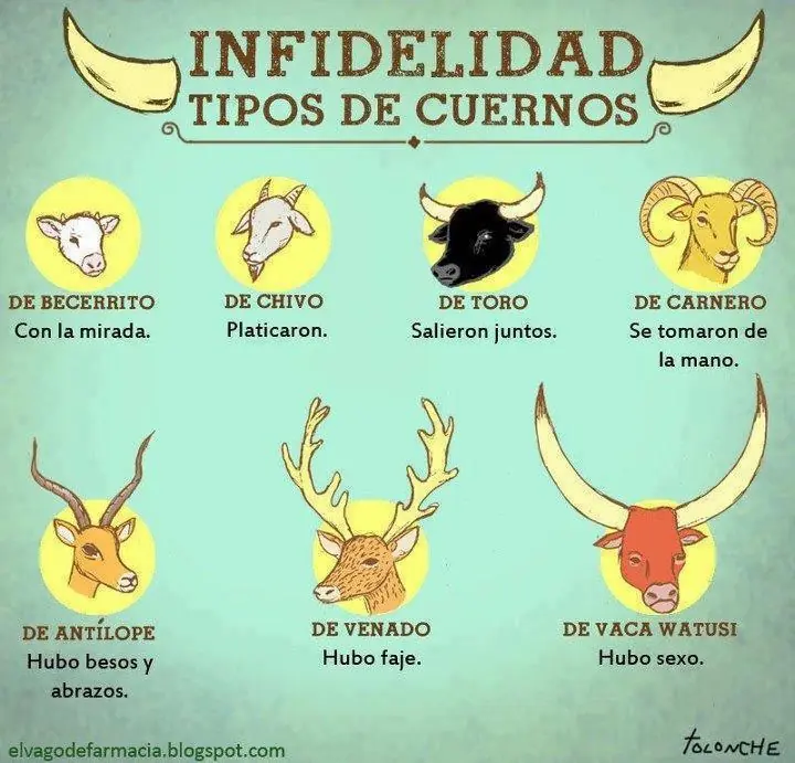 humor viejo humor viejo