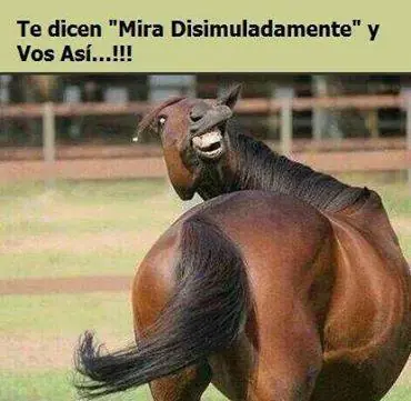 humor grafico humor grafico