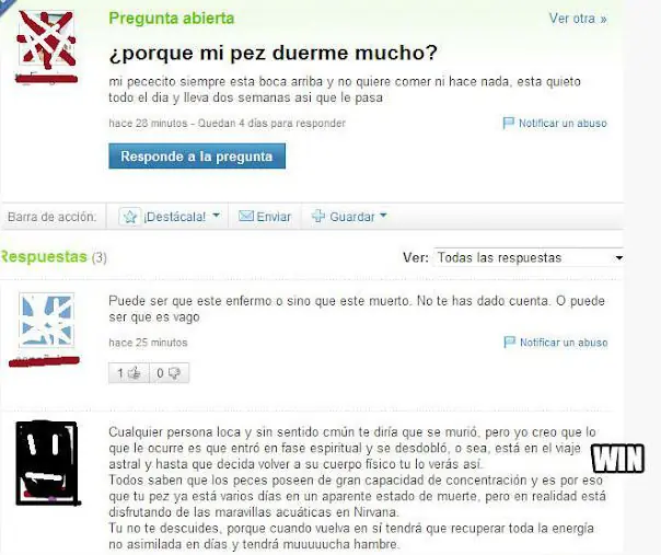 preguntas son bastante bizarras