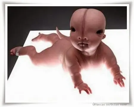 Híbridos de humanos y animales