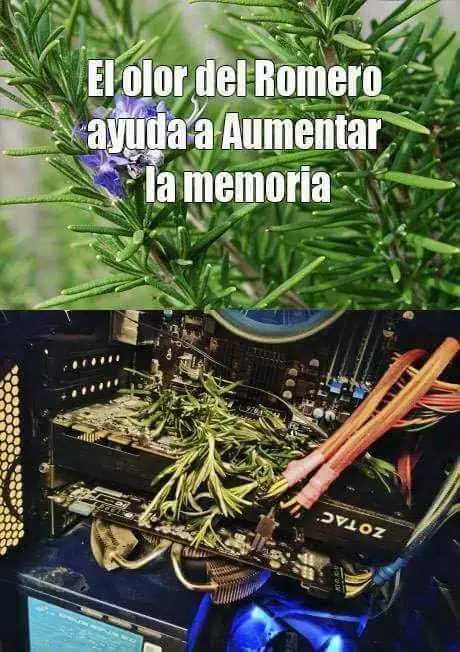 imagenes