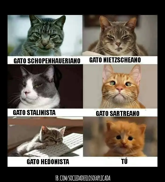 Humor para filosofos taringueros. Parte 8