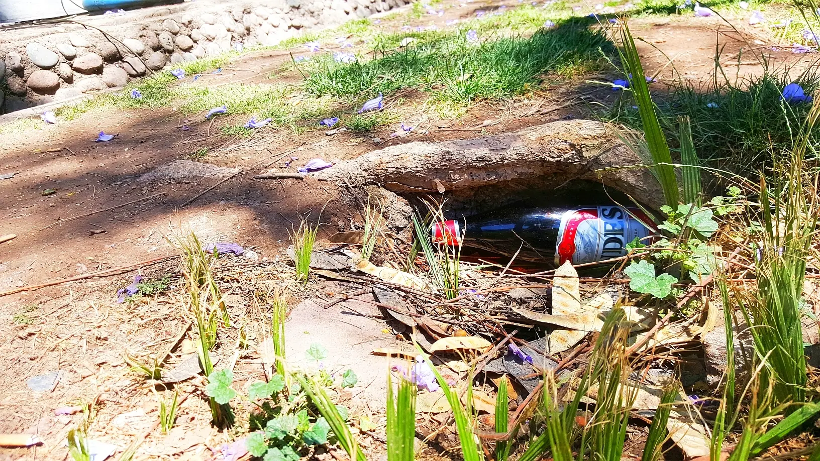 Sinsentido surrealista