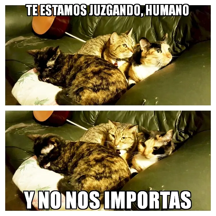 Sinsentido surrealista