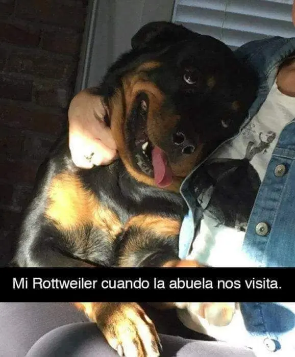 sonrisa