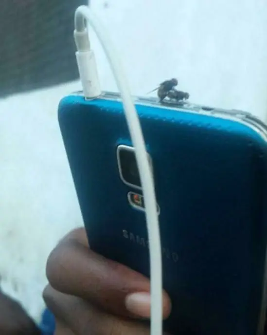 Imágenes de humor nocturno parte 255