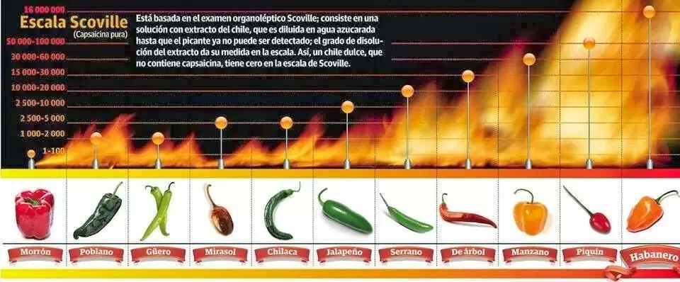 Chile