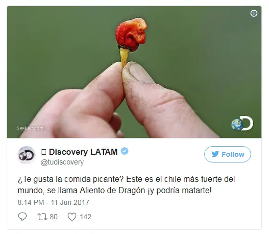 comida