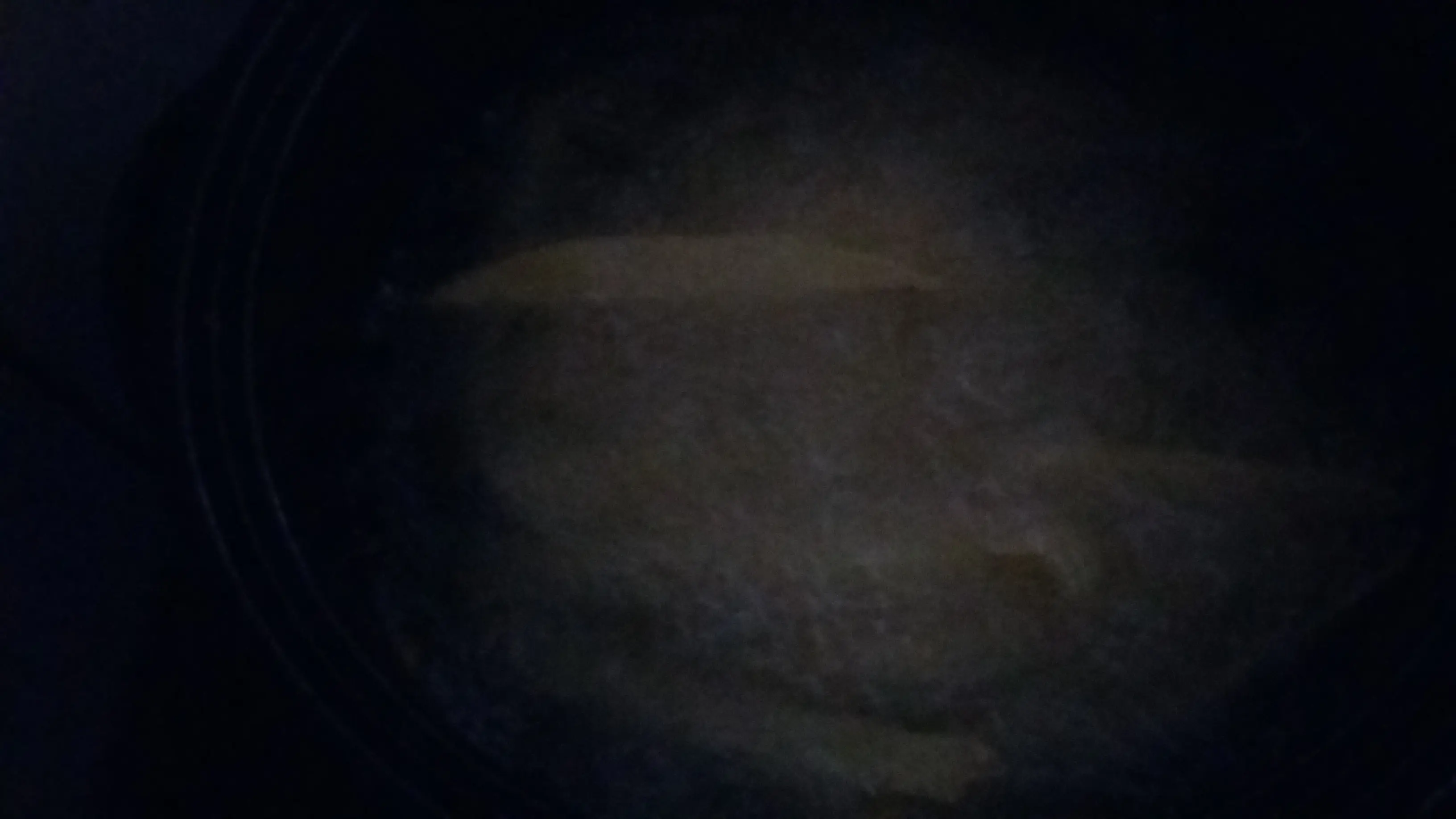 milanesa milanesa