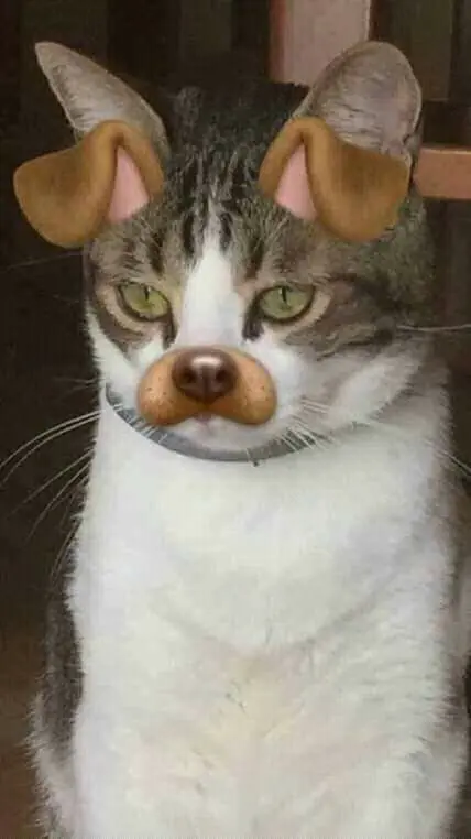 Crap de humor para este sábado