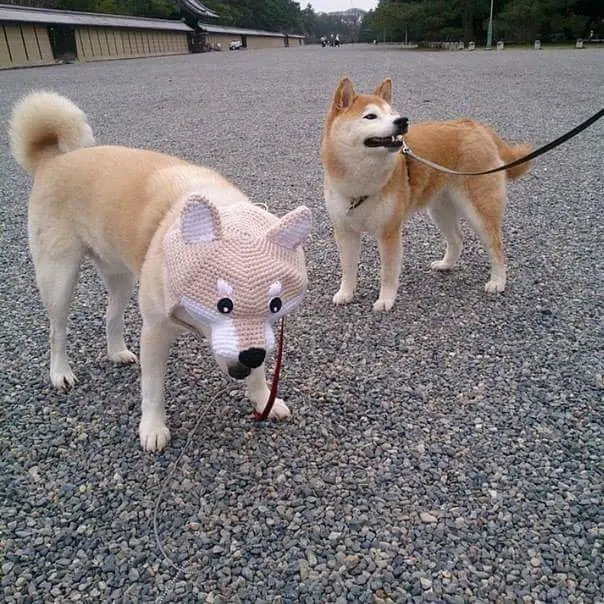 Crap de humor para este sábado