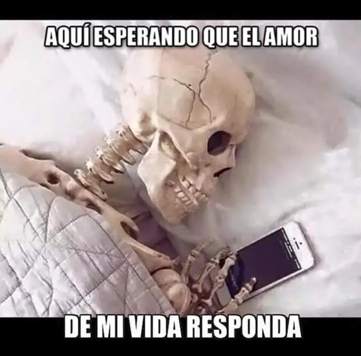 humor grafico