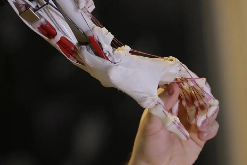 robotica robotica