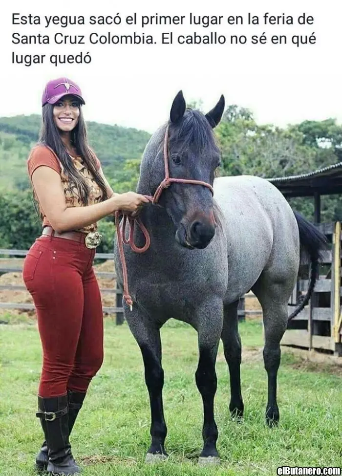 Fin