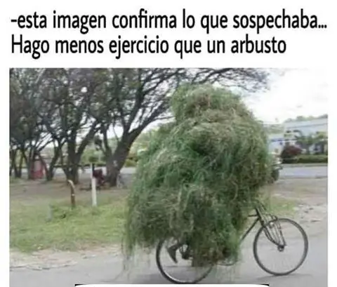 humor en imagenes