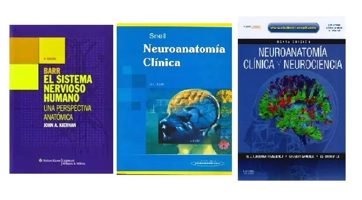medicina