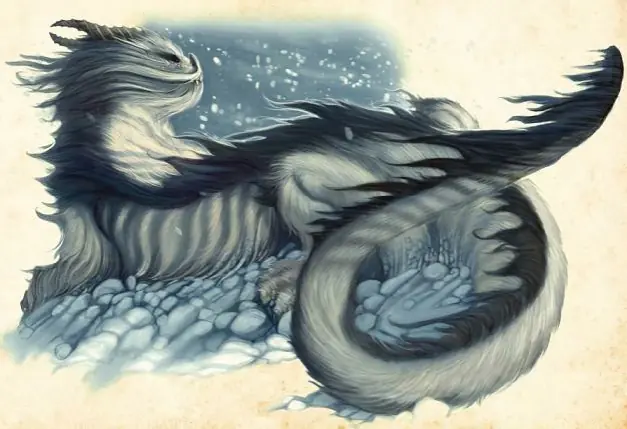 Tipos de dragones y sus variantes [Parte 1]
