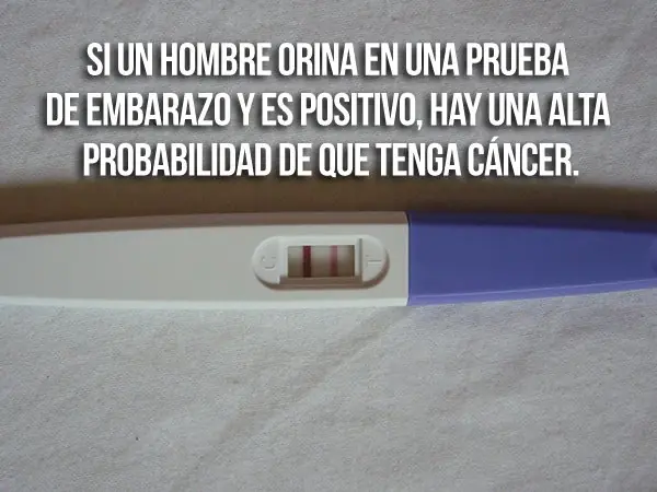 datos