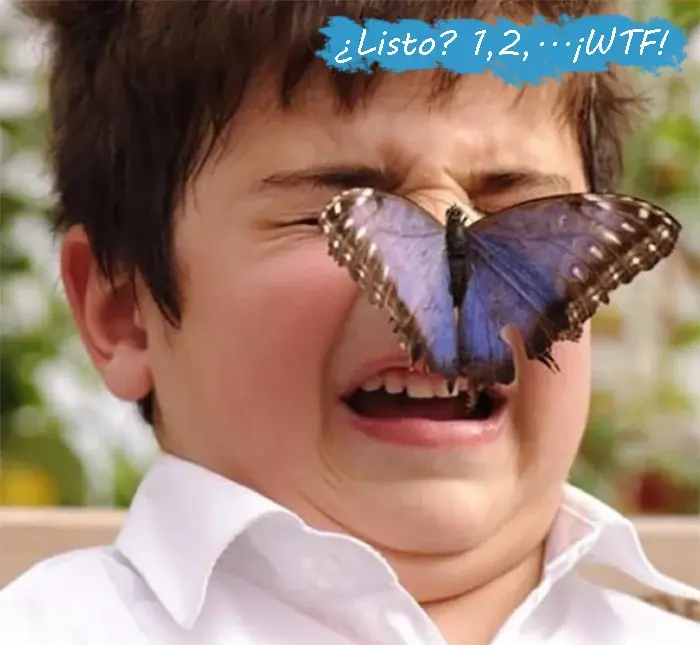 preciso